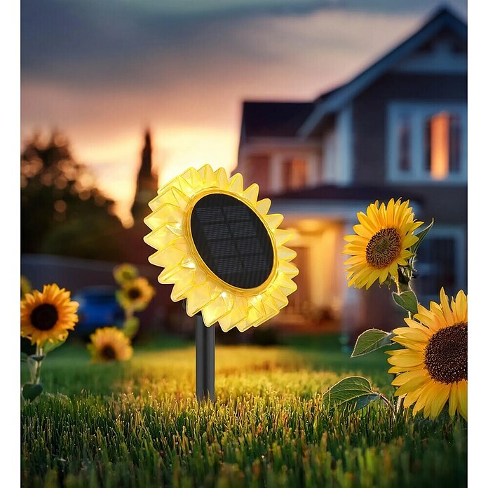 Globo Dekorativna solarna svjetiljka Suncokret  (Boja svjetla: Topla bijela, LED, Visina: 29,5 cm) | BAUHAUS