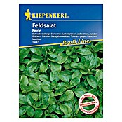 Kiepenkerl Profi-Line Feldsalat Favor (Valerianella locusta, Inhalt ausreichend für ca.: 5 m)