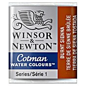 Winsor & Newton Cotman Aquarellfarbe (Siena gebrannt, ½ Näpfchen)