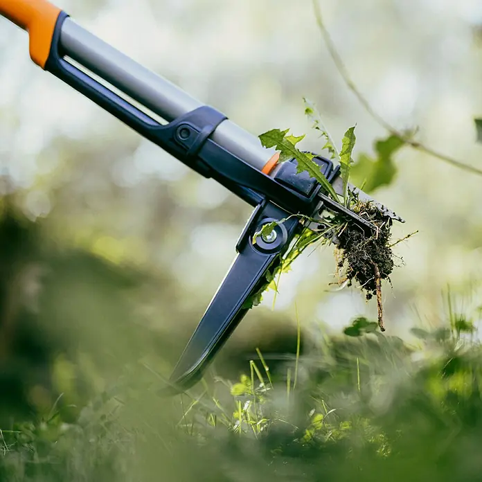 Fiskars Unkrautstecher - Länge: 106,2 cm - Nahaufnahme eines Unkrautstechers mit langem Griff, der einen Löwenzahn aus dem Rasen entfernt. Praktisches Gartengerät für mühelose Unkrautentfernung.