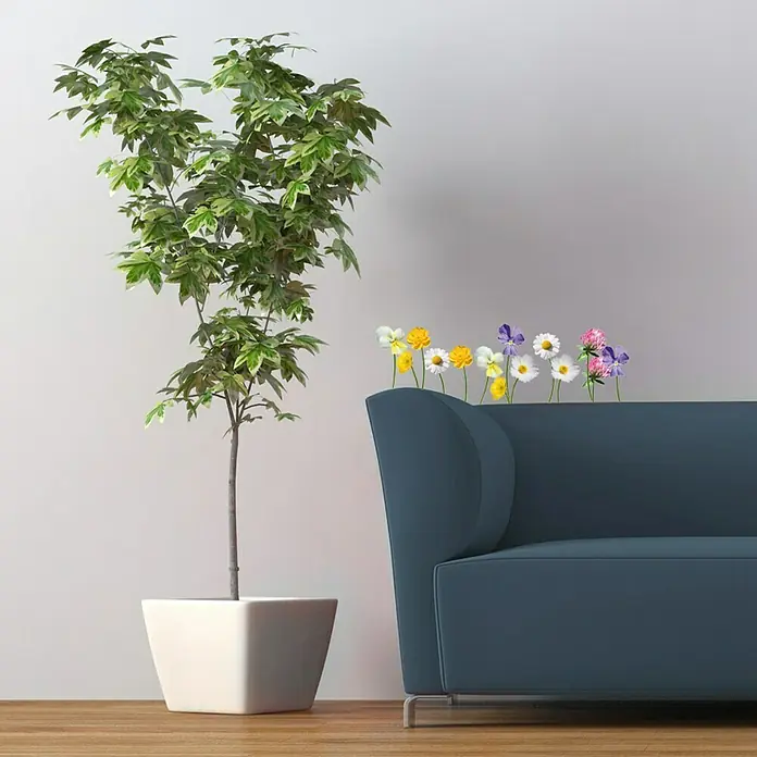 Vinilo de pared - Flores silvestres, Multicolor, Plástico - Sala de estar decorativa con planta en maceta en maceta blanca y sofá azul con flores.