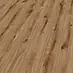 Golden Vista Oak