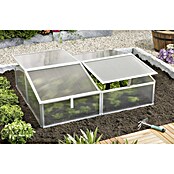 Vitavia Frühbeet Gaia 2X (100 x 120 x 26 cm, Transparent, Polycarbonat)