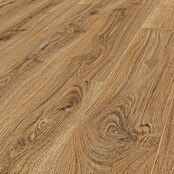 LOGOCLIC Edition Laminat Family (Lagoon, Landhausdiele, 1 288 x 245 x 7 mm) | BAUHAUS