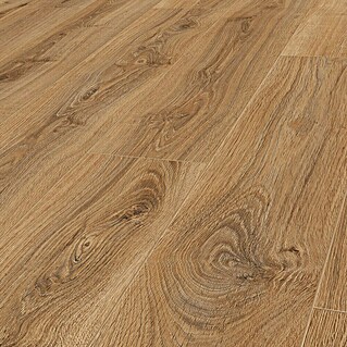 LOGOCLIC Edition Laminat Family (Lagoon, Landhausdiele, 1 288 x 245 x 7 mm)