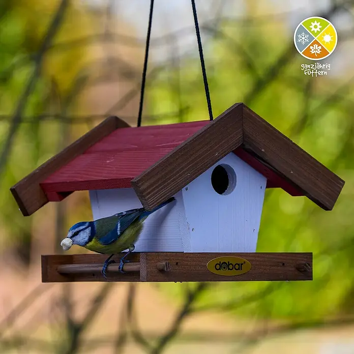 Dobar Vogelhaus Herbstfrüchte 2-er Set - Holz, Braun/Rot/Weiß - Ein Blaumeise sitzt auf einem hölzernen Doba Vogelhaus und hält ein Futterstück im Schnabel.