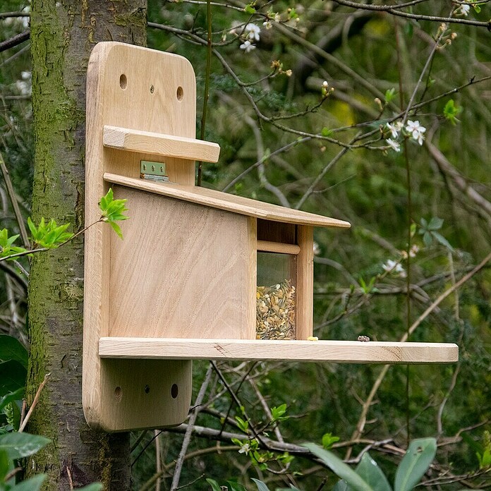 Dobar Eichhörnchenfutterstation Premium (Holz, Braun, ca. 32 x 20 x 38,5 cm) | BAUHAUS