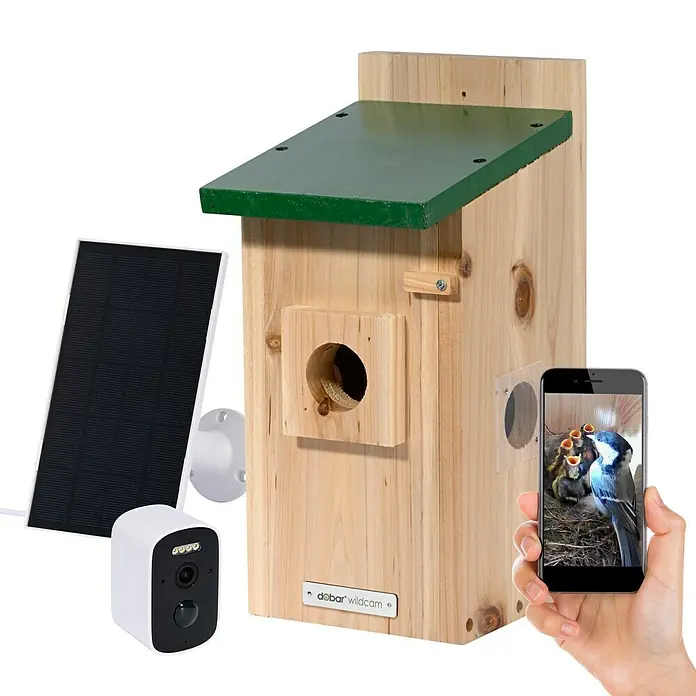 Dobar Nistkasten - Holz, Braun/Grün - Intelligenter Nistkasten mit Kamera, Solarpanel und Smartphone-Ansicht für die Vogelbeobachtung.
