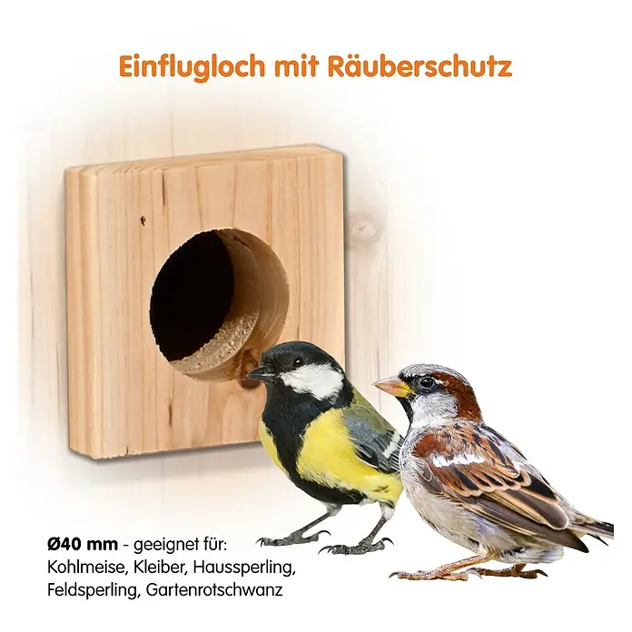 Dobar Nistkasten - Holz, Braun/Grün - Vogelfreundliches Nisthaus mit Einflugloch und Räuberschutz, ideal für kleine Singvögel. Perfekt für Garten oder Balkon.