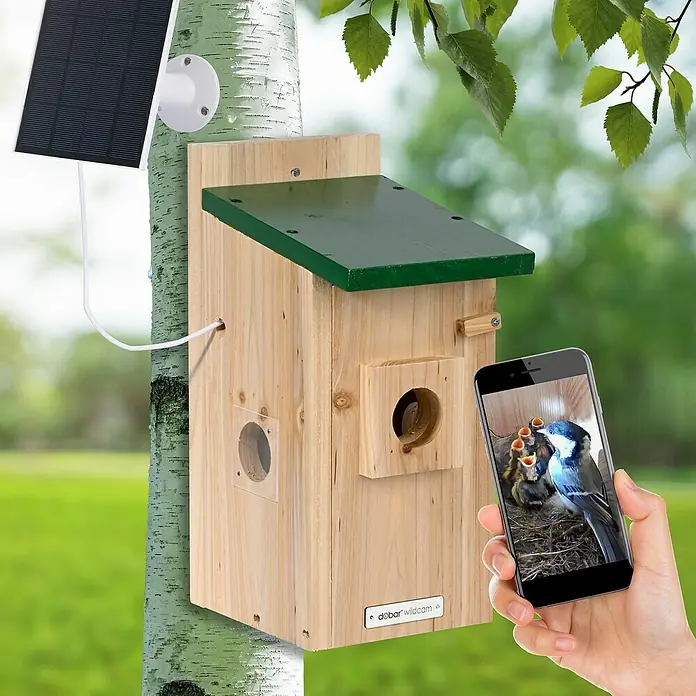 Dobar Nistkasten - Holz, Braun/Grün - Intelligentes Vogelhaus mit Solarpanel zur Beobachtung von Vögeln mit dem Smartphone, um die Natur zu erleben.
