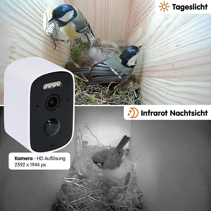 Dobar Nistkasten - Holz, Braun/Grün - Überwachungskamera für Vogelhäuschen mit HD-Auflösung, die sowohl Tageslicht- als auch Infrarot-Nachtsicht bietet, um Vögel zu beobachten.