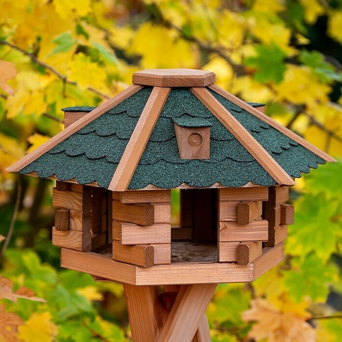 Dobar Vogelhaus Blockhaus (Grün, Holz, ca. 43 x 37 x 24 cm, Sechseckig) | BAUHAUS