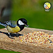 Dobar Wildvogelfutter Winter-Streufutter (25 kg) | BAUHAUS