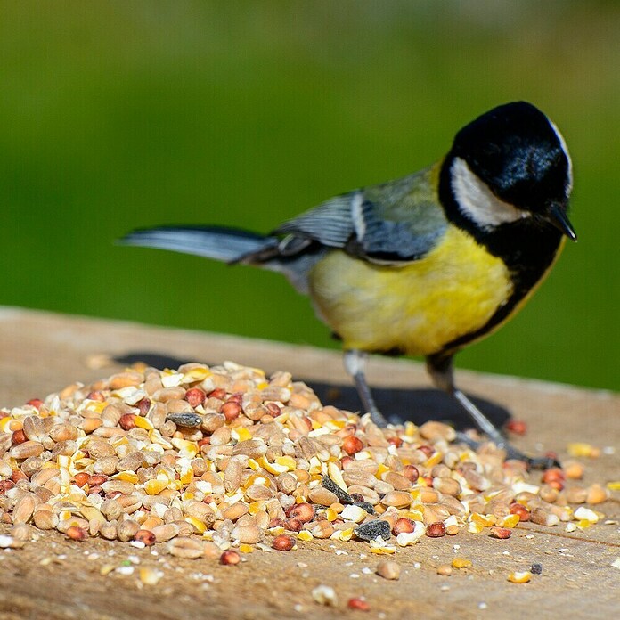 Dobar Wildvogelfutter Winter-Streufutter (25 kg) | BAUHAUS