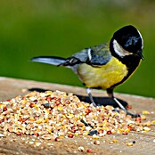 Dobar Wildvogelfutter Winter-Streufutter (25 kg) | BAUHAUS
