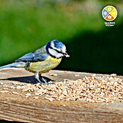 Dobar Wildvogelfutter Fettstreufutter (25 kg) | BAUHAUS