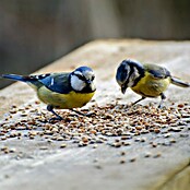 Dobar Wildvogelfutter Fettstreufutter (25 kg) | BAUHAUS