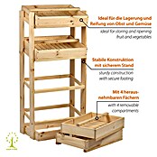 Dobar Holzregal (Natur, L x B x H: 53 x 35 x 116 cm) | BAUHAUS