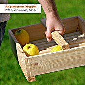 Dobar Holzregal (Natur, L x B x H: 53 x 35 x 116 cm) | BAUHAUS