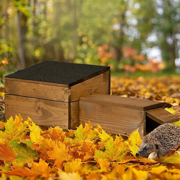 Dobar Igelhaus Nordic Braun (ca. 74,5 x 29 x 24 cm, Holz) | BAUHAUS