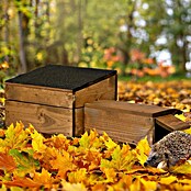 Dobar Igelhaus Nordic Braun (ca. 74,5 x 29 x 24 cm, Holz) | BAUHAUS
