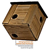 Dobar Eichhörnchenkobel Tallinn (Holz, Braun/Schwarz) | BAUHAUS