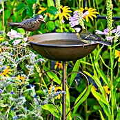 Dobar Vogeltränke (Schwarz, Metall, Höhe: 82 cm) | BAUHAUS