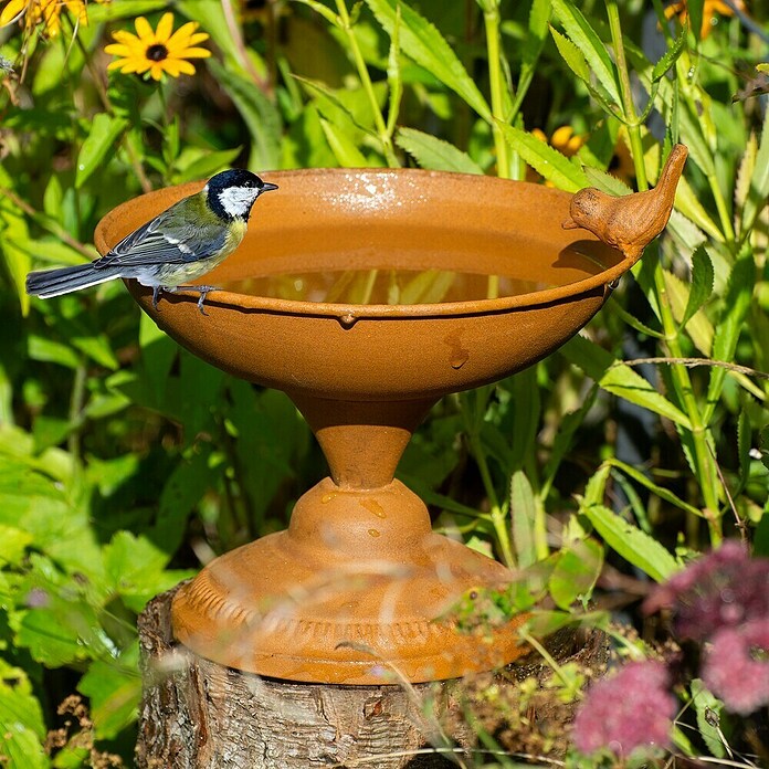 Dobar Vogeltränke (Edelrost, Metall, Höhe: 21 cm) | BAUHAUS