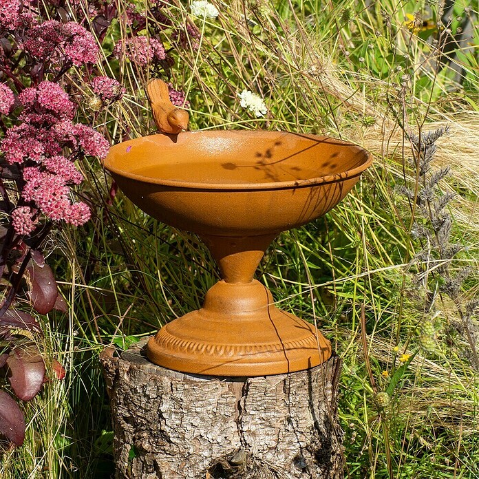 Dobar Vogeltränke (Edelrost, Metall, Höhe: 21 cm) | BAUHAUS