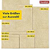 Schmutzfangmatte Nasa (80 x 50 cm, Beige, Material Nutzschicht: 100 % Polyester) | BAUHAUS