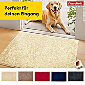 Schmutzfangmatte Nasa (80 x 50 cm, Beige, Material Nutzschicht: 100 % Polyester) | BAUHAUS
