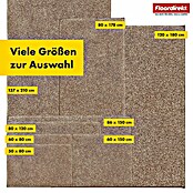 Schmutzfangmatte Nasa (90 x 60 cm, Braun, Material Nutzschicht: 100 % Polyester) | BAUHAUS