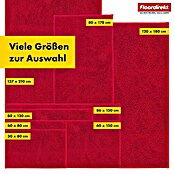 Schmutzfangmatte Nasa (150 x 60 cm, Rot, Material Nutzschicht: 100 % Polyester) | BAUHAUS