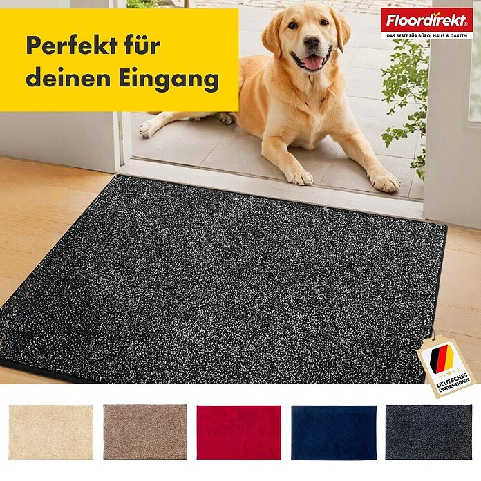Schmutzfangmatte Nasa (150 x 60 cm, Anthrazit, Material Nutzschicht: 100 % Polyester) | BAUHAUS