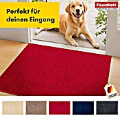 Schmutzfangmatte Nasa (150 x 60 cm, Rot, Material Nutzschicht: 100 % Polyester) | BAUHAUS