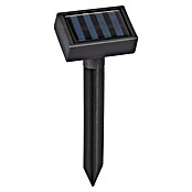 BAUHAUS Solarna svetlobna veriga  (1,2 W, Bela, IP44) | Solarne svetilke | Zunanja svetila | Elektro in svetila | Izdelki | BAUHAUS