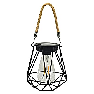 BAUHAUS Solarna viseča svetilka (Do x Š x V: 15,5 x 13,5 x 28,5 cm, Črna, IP44)