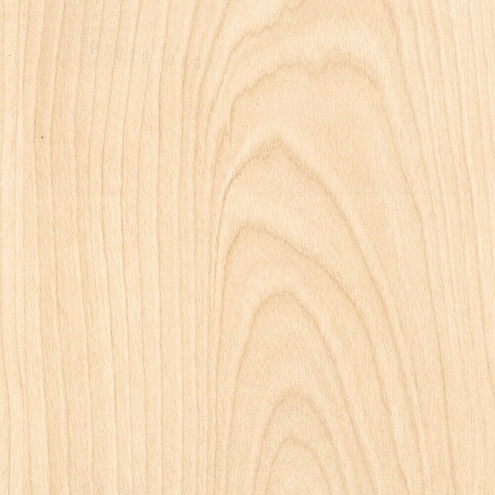 Sockelleiste FU018L (L x B x H: 2 400 x 18,5 x 38,5 mm, MDF, Bergahorn) | BAUHAUS