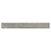 RAK Ceramics Valdi Sockelfliese (7 x 60 cm, Taupe, Matt) | BAUHAUS