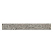 RAK Ceramics Valdi Sockelfliese (7 x 60 cm, Taupe, Matt) | BAUHAUS