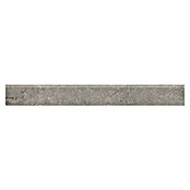 RAK Ceramics Valdi Sockelfliese (7 x 60 cm, Taupe, Matt) | BAUHAUS