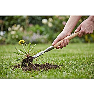 Gardol Unkrautstecher (Länge: 56 cm, Esche, Edelstahl)
