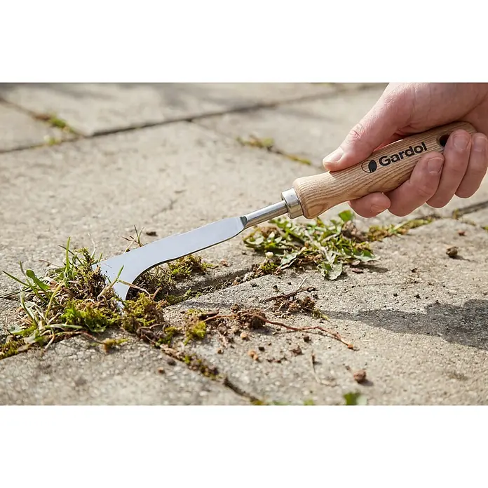 Gardol Fugenkratzer - Esche, Edelstahl, 34,5 cm - Nahaufnahme eines Gardol Fugenkratzers, der Unkraut zwischen Pflastersteinen entfernt, gehalten von einer Hand.