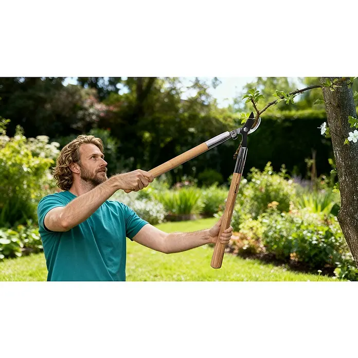 Gardol Astschere - Schneidsystem Gartenschere: Bypass, Länge: 70,5 cm - Ein Mann in einem Garten benutzt eine Astschere mit langem Griff, um einen Baum zu beschneiden. Die Astschere ist im Fokus der Aufnahme.