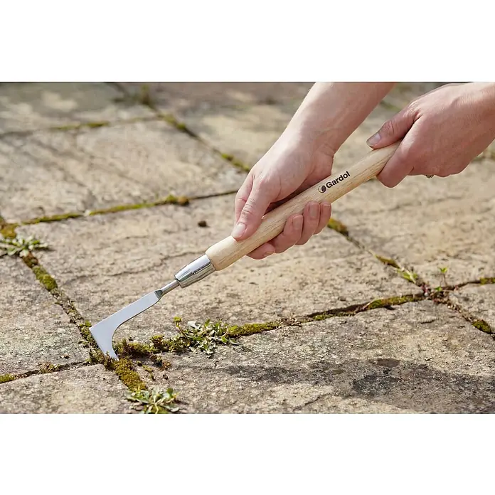 Gardol Fugenkratzer - Esche, Edelstahl, 56,5 cm - Die Gardol Fugenkratzer werden verwendet, um Unkraut und Moos zwischen Pflastersteinen zu entfernen.