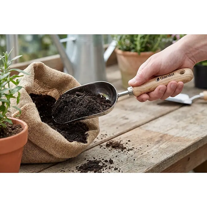 Gardol Blumenkelle - 34 cm, Esche, Edelstahl - Ein Gartenschaufel mit Holzgriff wird in eine Jutetüte mit Erde gehalten, um das Umtopfen zu vereinfachen.