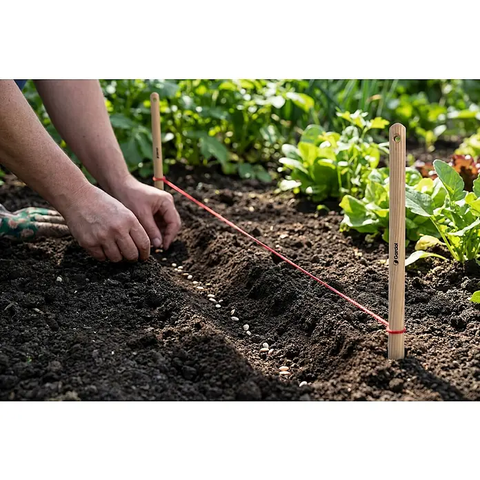 Gardol Gartenschnur - Länge: 4,2 m - Anpflanzen von Samen in einer geraden Reihe mit Hilfe von zwei Holzpflöcken und einer roten Schnur als Führungslinie.