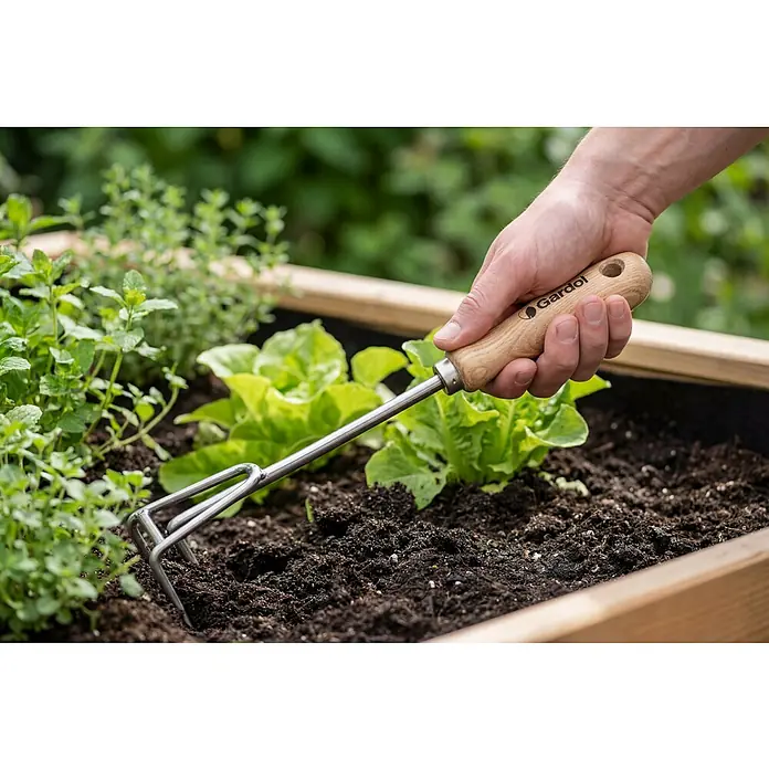 Gardol Grubber - Esche, Edelstahl - Die Gartenkralle von Gardol lockert den Boden im Hochbeet, unterstützt durch den Holzgriff für bequemes Arbeiten.