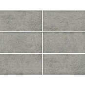 Cersanit Terrassenfliese Metropolis (59,3 x 119,3 x 2 cm, Grey, Matt) | BAUHAUS