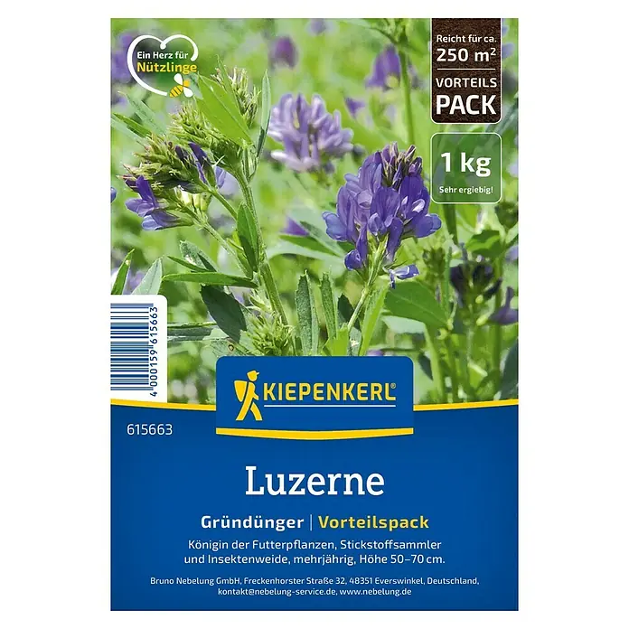 Kiepenkerl Gründüngung Luzerne - Medicago sativa, 250 m² - Bild einer Packung Luzerne-Gründünger der Marke Kiepenkerl.
